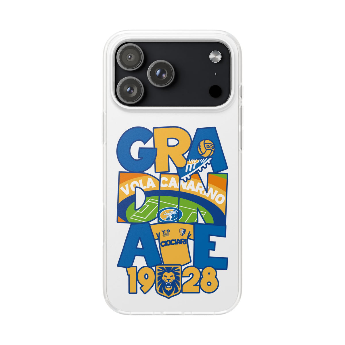 Cover Gradinate Frosinone