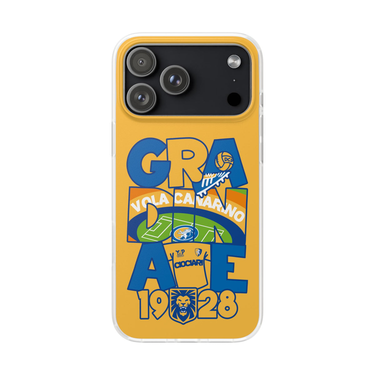 Cover Gradinate Frosinone